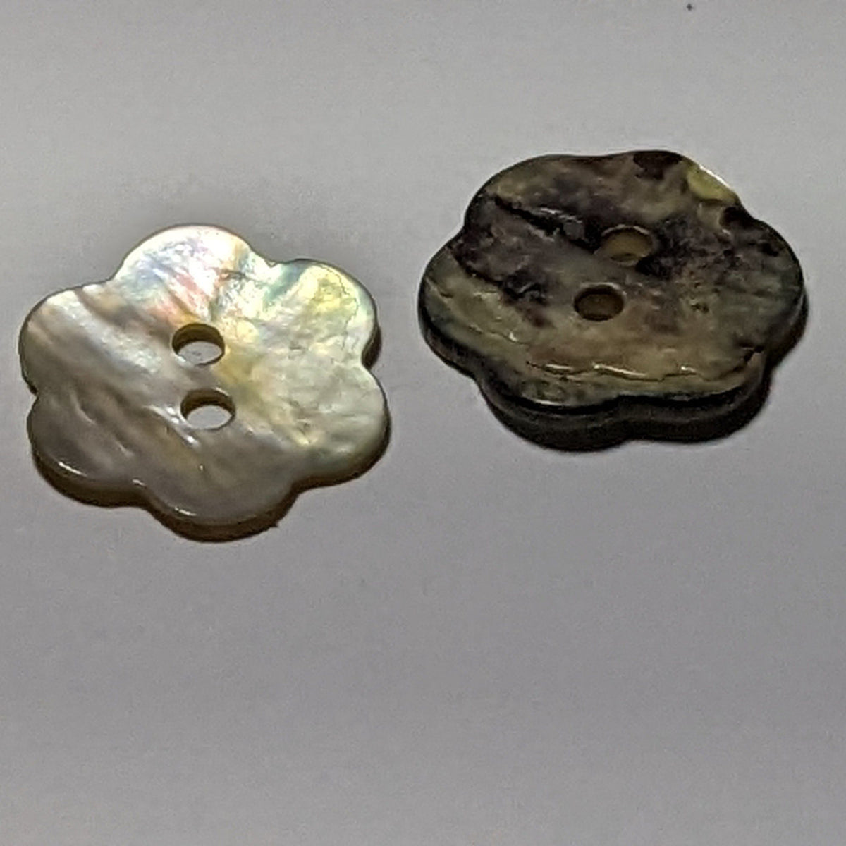 Button Shaped Shell 15mm or 11mm Small Flower Shaped Shell Natural Buttons – The Crafty ...
