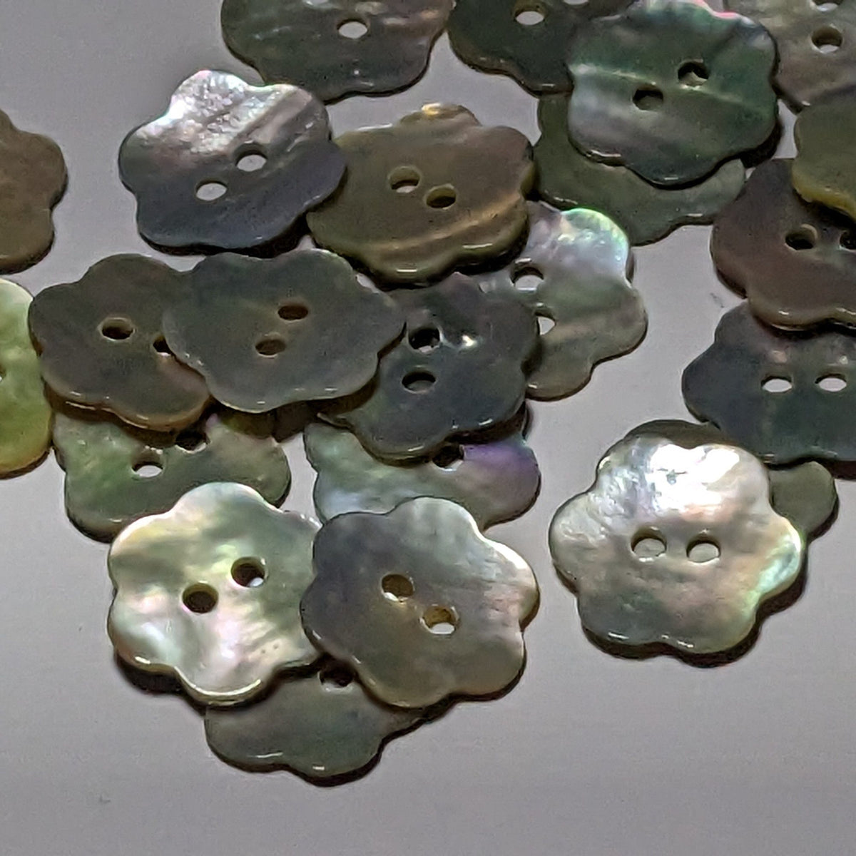 Button Shaped Shell 15mm or 11mm Small Flower Shaped Shell Natural Buttons – The Crafty ...