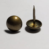Two brass upholstery tacks on a white background